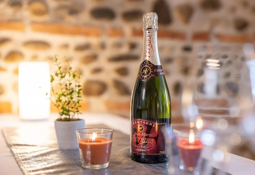 Le Chaleureux - Un Bijou De Toulouse - So Cozy Apartment 0*,  France